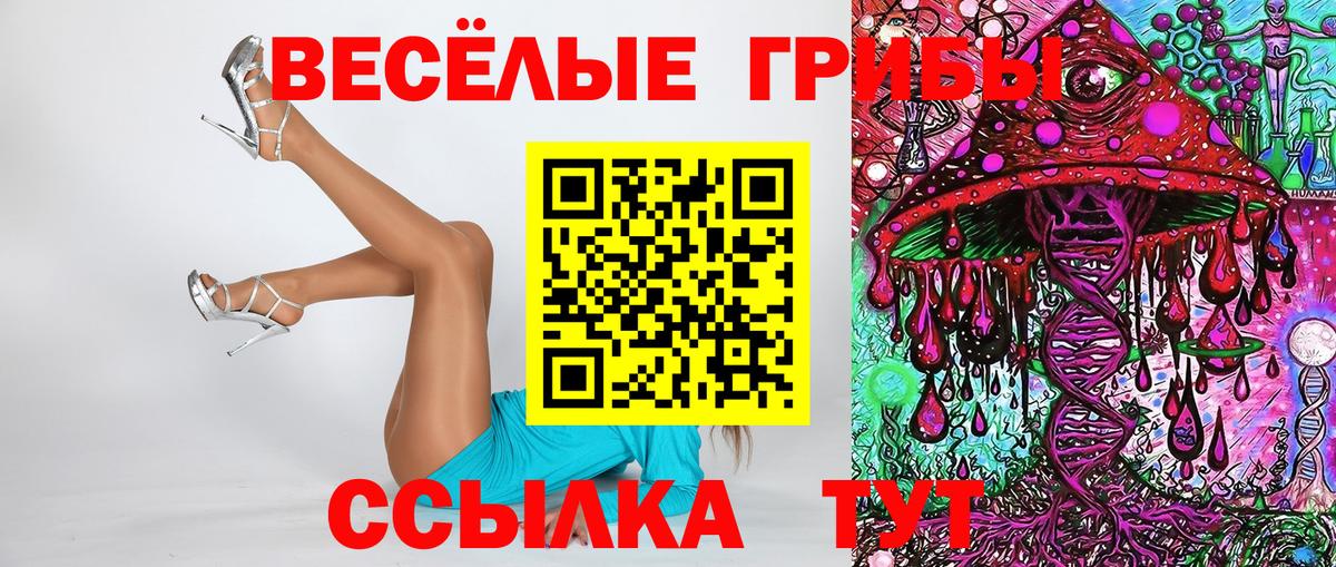 Галлюциногенные грибы Magic Shrooms Черногорск