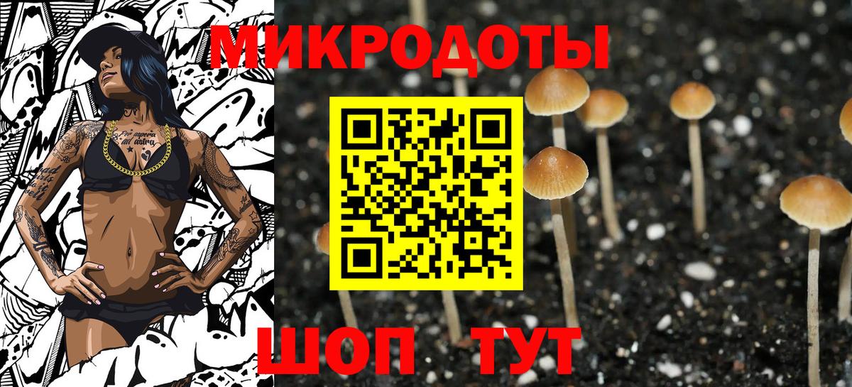 Псилоцибиновые грибы прущие грибы  наркошоп  Черногорск  Галлюциногенные грибы Cubensis  Вход с VPN 